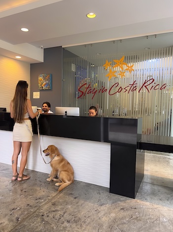 Blog post: Pet-Friendly Costa Rica Vacation at Los Sueños Resort